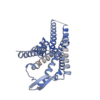 33231_7xjl_F_v1-0
Cryo-EM structure of the spexin-bound GALR2-miniGq complex