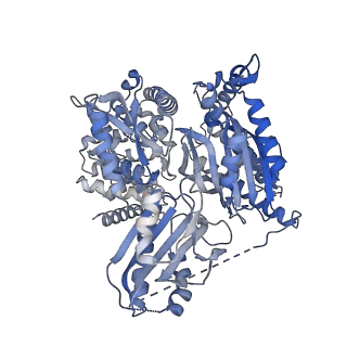 33237_7xjy_A_v1-1
Cryo-EM structure of Oryza sativa plastid glycyl-tRNA synthetase (apo form)