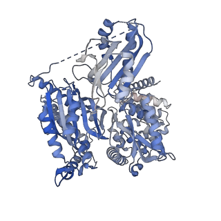 33237_7xjy_B_v1-1
Cryo-EM structure of Oryza sativa plastid glycyl-tRNA synthetase (apo form)