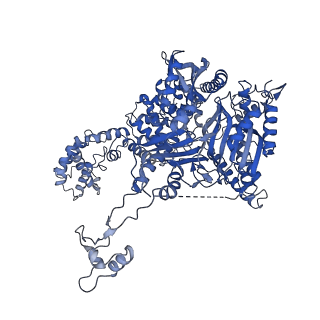 33238_7xjz_A_v1-1
Cryo-EM strucrture of Oryza sativa plastid glycyl-tRNA synthetase in complex with tRNA (tRNA binding state)
