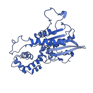 38393_8xj4_A_v1-0
Structure of prostatic acid phosphatase in human semen