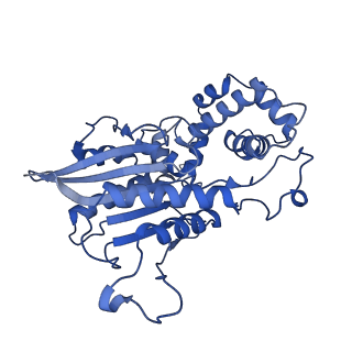 38393_8xj4_B_v1-0
Structure of prostatic acid phosphatase in human semen