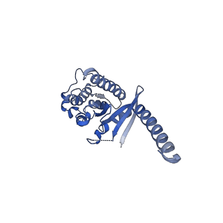 38399_8xjk_A_v1-1
Cloprosetnol bound Prostaglandin F2-alpha receptor-Gq Protein Complex