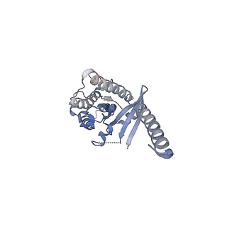 38400_8xjl_A_v1-1
PGF2-alpha bound Prostaglandin F2-alpha receptor-Gq Protein Complex