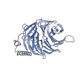 38401_8xjm_B_v1-1
Latanoprost acid bound Prostaglandin F2-alpha receptor-Gq Protein Complex