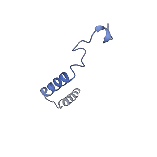 38401_8xjm_C_v1-1
Latanoprost acid bound Prostaglandin F2-alpha receptor-Gq Protein Complex