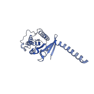 38403_8xjo_A_v1-1
U46619 bound Thromboxane A2 receptor-Gq Protein Complex