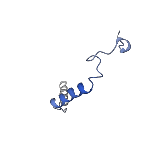 38403_8xjo_C_v1-1
U46619 bound Thromboxane A2 receptor-Gq Protein Complex
