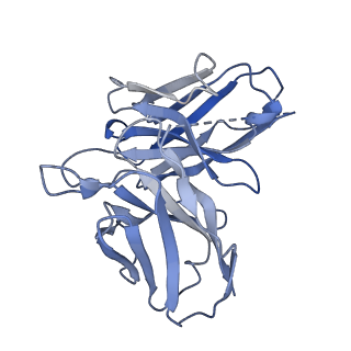 38403_8xjo_E_v1-1
U46619 bound Thromboxane A2 receptor-Gq Protein Complex
