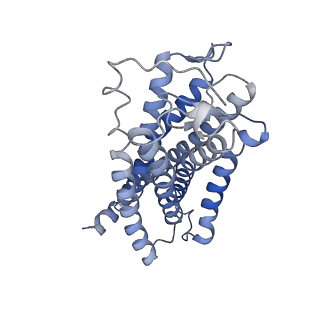 38403_8xjo_R_v1-1
U46619 bound Thromboxane A2 receptor-Gq Protein Complex