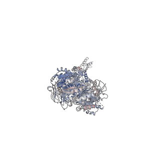 6724_5xjy_A_v1-2
Cryo-EM structure of human ABCA1