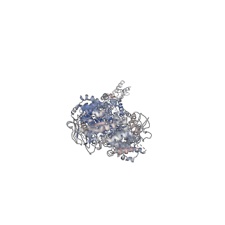 6724_5xjy_A_v2-0
Cryo-EM structure of human ABCA1