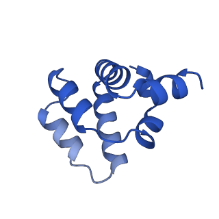 22219_6xkj_B_v1-2
Cryo-EM structure of CARD8-CARD filament