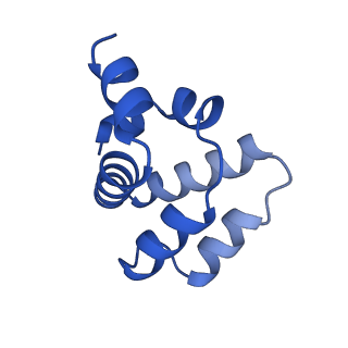 22219_6xkj_C_v1-2
Cryo-EM structure of CARD8-CARD filament