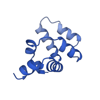 22219_6xkj_D_v1-2
Cryo-EM structure of CARD8-CARD filament