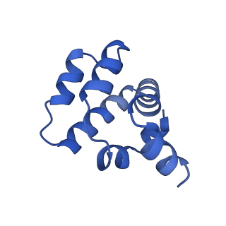 22219_6xkj_E_v1-2
Cryo-EM structure of CARD8-CARD filament