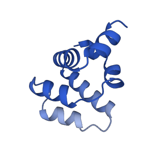 22219_6xkj_F_v1-2
Cryo-EM structure of CARD8-CARD filament