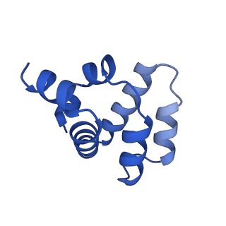 22219_6xkj_G_v1-2
Cryo-EM structure of CARD8-CARD filament