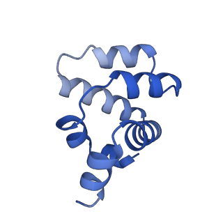 22219_6xkj_H_v1-2
Cryo-EM structure of CARD8-CARD filament