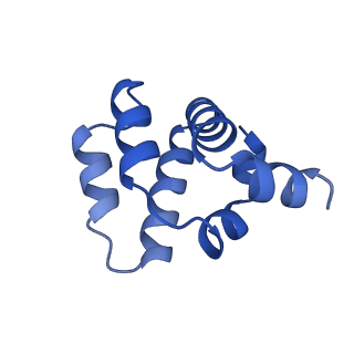 22219_6xkj_I_v1-2
Cryo-EM structure of CARD8-CARD filament