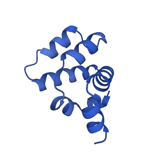 22219_6xkj_L_v1-2
Cryo-EM structure of CARD8-CARD filament