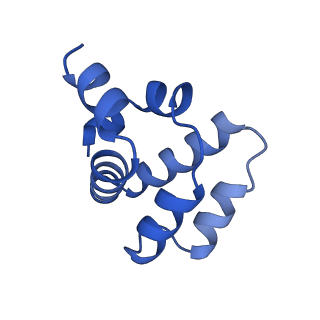 22219_6xkj_N_v1-2
Cryo-EM structure of CARD8-CARD filament