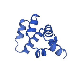 22219_6xkj_P_v1-2
Cryo-EM structure of CARD8-CARD filament