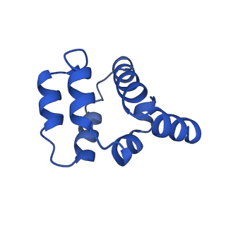22220_6xkk_A_v1-1
Cryo-EM structure of the NLRP1-CARD filament
