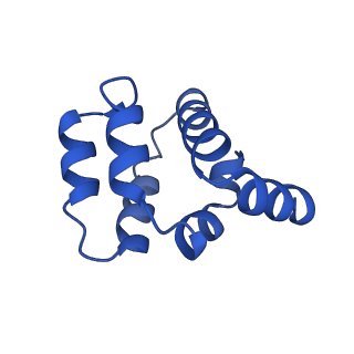 22220_6xkk_A_v1-2
Cryo-EM structure of the NLRP1-CARD filament