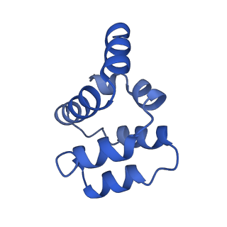 22220_6xkk_B_v1-1
Cryo-EM structure of the NLRP1-CARD filament