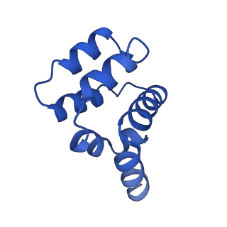 22220_6xkk_C_v1-1
Cryo-EM structure of the NLRP1-CARD filament