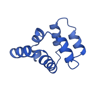 22220_6xkk_D_v1-1
Cryo-EM structure of the NLRP1-CARD filament