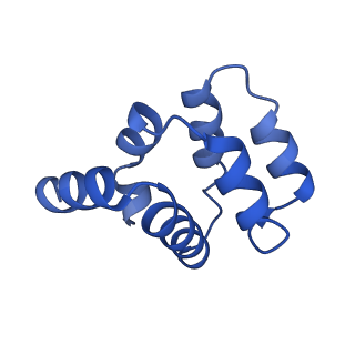 22220_6xkk_D_v1-2
Cryo-EM structure of the NLRP1-CARD filament