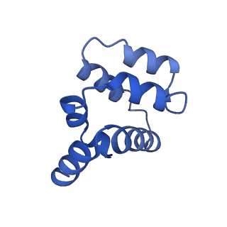 22220_6xkk_E_v1-2
Cryo-EM structure of the NLRP1-CARD filament