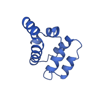 22220_6xkk_F_v1-1
Cryo-EM structure of the NLRP1-CARD filament