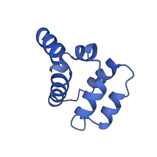 22220_6xkk_F_v1-2
Cryo-EM structure of the NLRP1-CARD filament