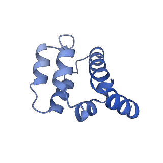 22220_6xkk_G_v1-1
Cryo-EM structure of the NLRP1-CARD filament