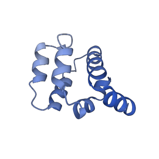 22220_6xkk_G_v1-2
Cryo-EM structure of the NLRP1-CARD filament