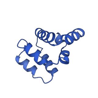 22220_6xkk_H_v1-1
Cryo-EM structure of the NLRP1-CARD filament