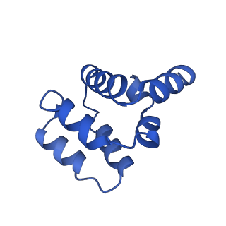 22220_6xkk_H_v1-2
Cryo-EM structure of the NLRP1-CARD filament