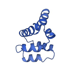 22220_6xkk_I_v1-2
Cryo-EM structure of the NLRP1-CARD filament