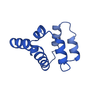 22220_6xkk_K_v1-2
Cryo-EM structure of the NLRP1-CARD filament