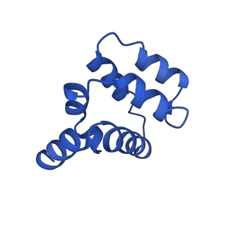 22220_6xkk_L_v1-1
Cryo-EM structure of the NLRP1-CARD filament