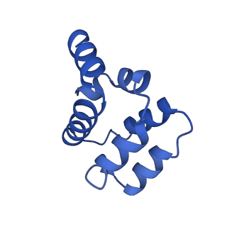 22220_6xkk_M_v1-1
Cryo-EM structure of the NLRP1-CARD filament