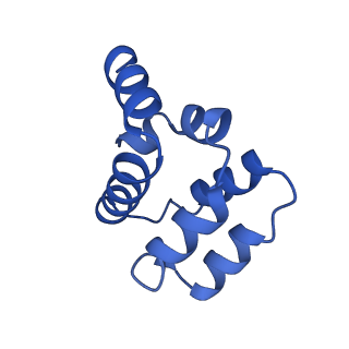 22220_6xkk_M_v1-2
Cryo-EM structure of the NLRP1-CARD filament