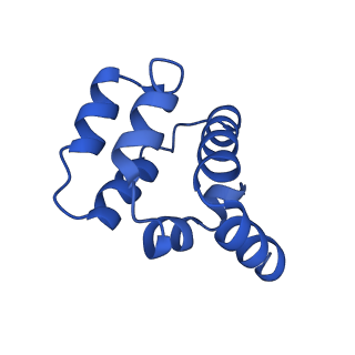 22220_6xkk_N_v1-1
Cryo-EM structure of the NLRP1-CARD filament