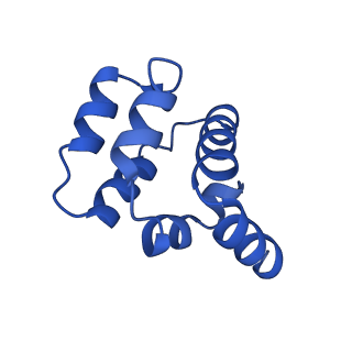 22220_6xkk_N_v1-2
Cryo-EM structure of the NLRP1-CARD filament