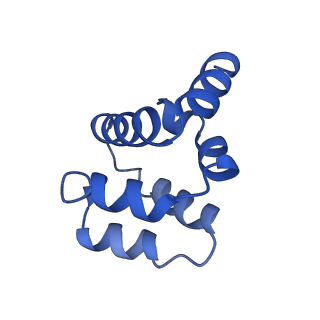 22220_6xkk_P_v1-1
Cryo-EM structure of the NLRP1-CARD filament