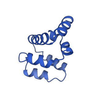 22220_6xkk_P_v1-2
Cryo-EM structure of the NLRP1-CARD filament