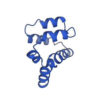 22220_6xkk_Q_v1-1
Cryo-EM structure of the NLRP1-CARD filament